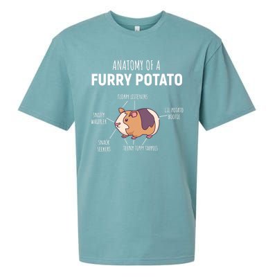 Anatomy Of A Furry Potato Guinea Pig Lover Gift TShirt Sueded Cloud Jersey T-Shirt