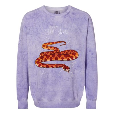 Anatomy Of A Corn Snake Funny Pet Reptile Snake Lover Colorblast Crewneck Sweatshirt