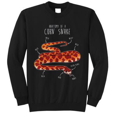 Anatomy Of A Corn Snake Funny Pet Reptile Snake Lover Sweatshirt