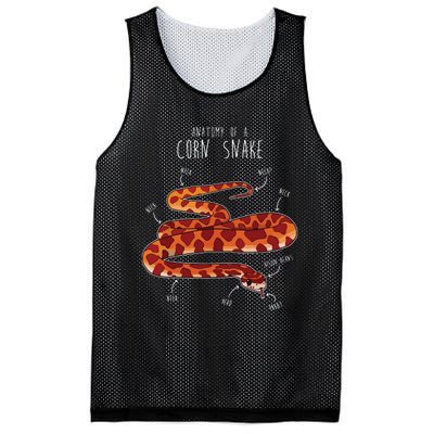 Anatomy Of A Corn Snake Funny Pet Reptile Snake Lover Mesh Reversible Basketball Jersey Tank