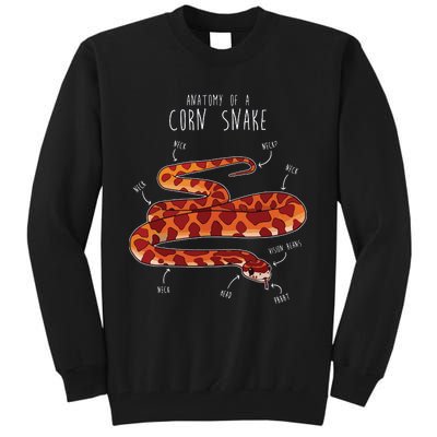 Anatomy Of A Corn Snake Funny Pet Reptile Snake Lover Tall Sweatshirt