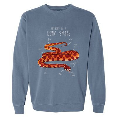 Anatomy Of A Corn Snake Funny Pet Reptile Snake Lover Garment-Dyed Sweatshirt