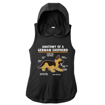 Anatomy Of A Ger Shepherd Dog Gift Ladies PosiCharge Tri-Blend Wicking Draft Hoodie Tank