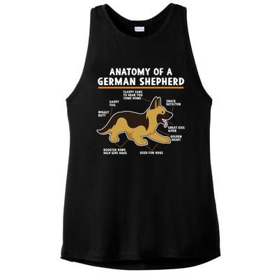 Anatomy Of A Ger Shepherd Dog Gift Ladies PosiCharge Tri-Blend Wicking Tank