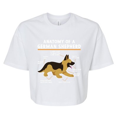 Anatomy Of A Ger Shepherd Dog Gift Bella+Canvas Jersey Crop Tee