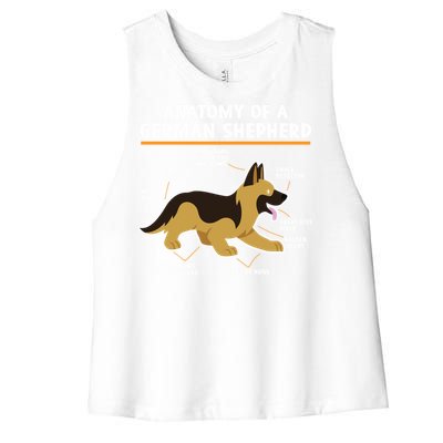 Anatomy Of A Ger Shepherd Dog Gift Women's Racerback Cropped Tank