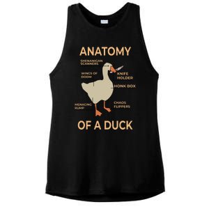 Anatomy Of A Duck Ladies PosiCharge Tri-Blend Wicking Tank