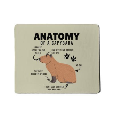 Anatomy Of A Capybara Funny Capybara Mousepad