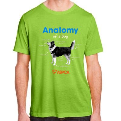 Anatomy Of A Dog Adult ChromaSoft Performance T-Shirt