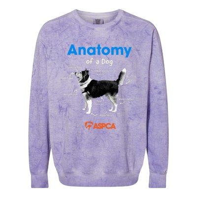 Anatomy Of A Dog Colorblast Crewneck Sweatshirt