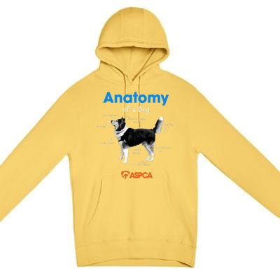 Anatomy Of A Dog Premium Pullover Hoodie