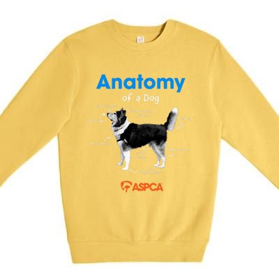 Anatomy Of A Dog Premium Crewneck Sweatshirt