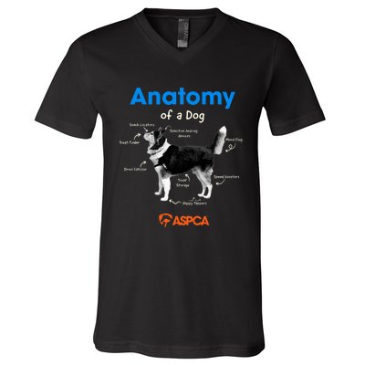 Anatomy Of A Dog V-Neck T-Shirt