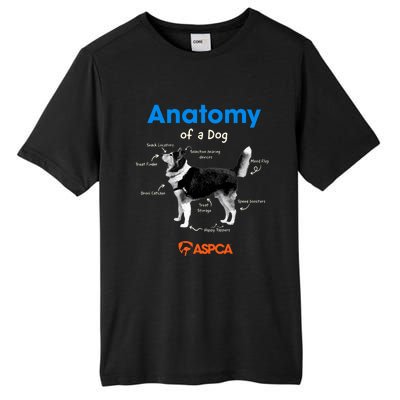 Anatomy Of A Dog Tall Fusion ChromaSoft Performance T-Shirt