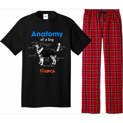 Anatomy Of A Dog Pajama Set