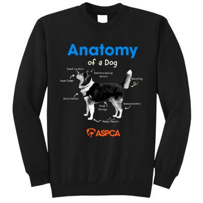 Anatomy Of A Dog Tall Sweatshirt