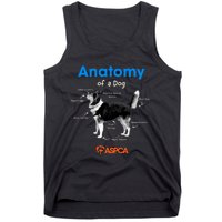 Anatomy Of A Dog Tank Top