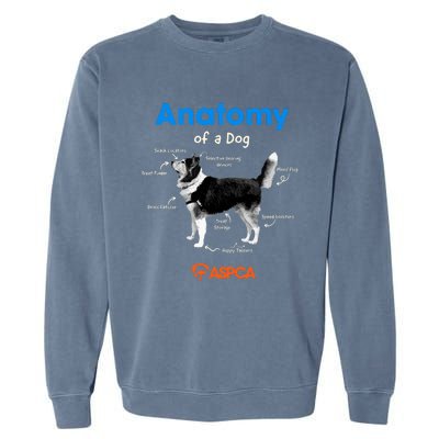 Anatomy Of A Dog Garment-Dyed Sweatshirt