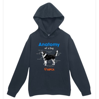 Anatomy Of A Dog Urban Pullover Hoodie