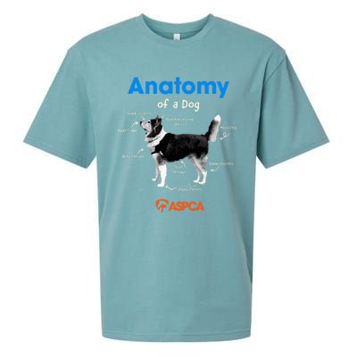 Anatomy Of A Dog Sueded Cloud Jersey T-Shirt