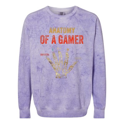 Anatomy Of A Gamer Gaming Gifts For Gamer Colorblast Crewneck Sweatshirt