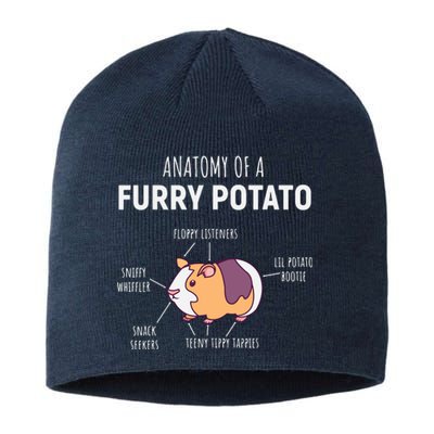 Anatomy Of A Furry Potato Guinea Pig Lover Gift Sustainable Beanie