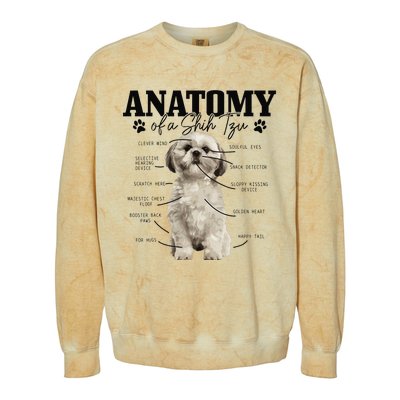 Anatomy Of A Shih Tzu Dog Funny Cute Shih Tzu Mom Dad Colorblast Crewneck Sweatshirt