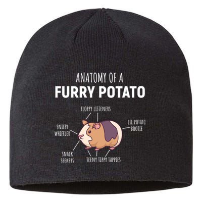 Anatomy Of A Furry Potato Funny Guinea Pig Lover Gift Sustainable Beanie