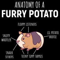 Anatomy Of A Furry Potato Funny Guinea Pig Lover Gift 16 in Basic Backpack