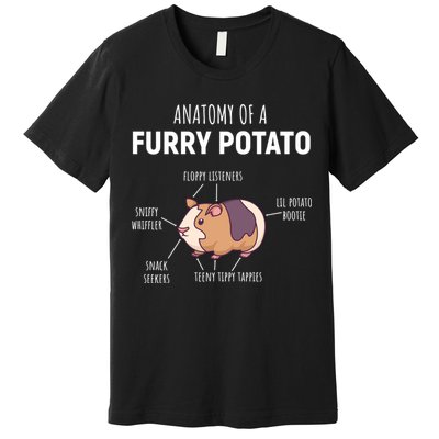 Anatomy Of A Furry Potato Funny Guinea Pig Lover Gift Premium T-Shirt