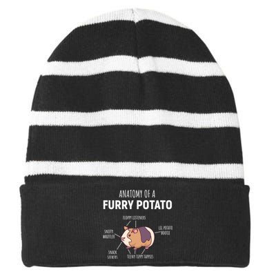 Anatomy Of A Furry Potato Funny Guinea Pig Lover Gift Striped Beanie with Solid Band