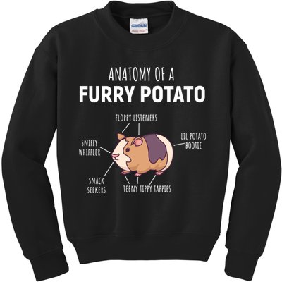 Anatomy Of A Furry Potato Funny Guinea Pig Lover Gift Kids Sweatshirt
