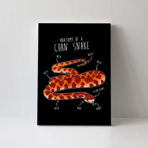 Anatomy Of A Corn Snake Canvas