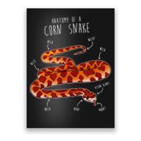 Anatomy Of A Corn Snake Poster