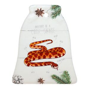 Anatomy Of A Corn Snake Ceramic Bell Ornament