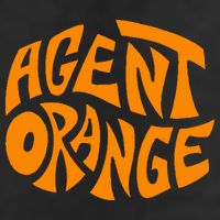 Agent Orange Adult Drive Performance Visor