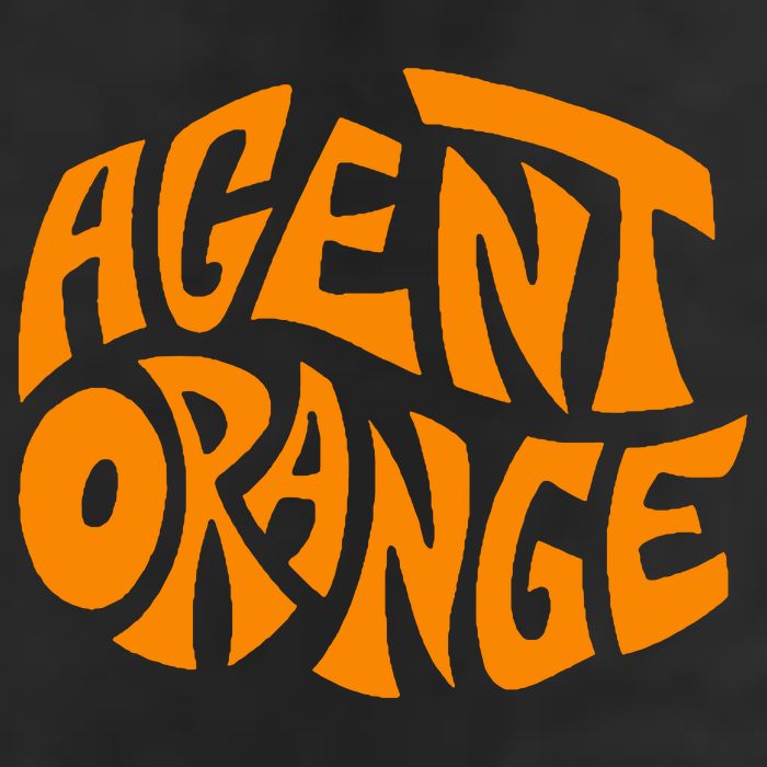 Agent Orange Adult Drive Performance Visor