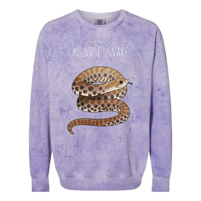 Anatomy Of A Hognose Snake Funny Pet Reptile Animal Lover Colorblast Crewneck Sweatshirt