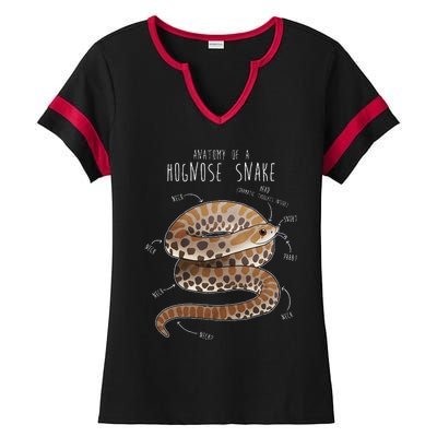 Anatomy Of A Hognose Snake Funny Pet Reptile Animal Lover Ladies Halftime Notch Neck Tee