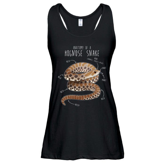 Anatomy Of A Hognose Snake Funny Pet Reptile Animal Lover Ladies Essential Flowy Tank