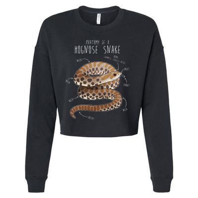 Anatomy Of A Hognose Snake Funny Pet Reptile Animal Lover Cropped Pullover Crew