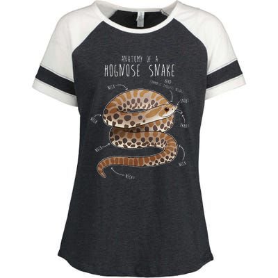 Anatomy Of A Hognose Snake Funny Pet Reptile Animal Lover Enza Ladies Jersey Colorblock Tee