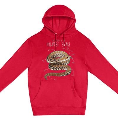 Anatomy Of A Hognose Snake Funny Pet Reptile Animal Lover Premium Pullover Hoodie