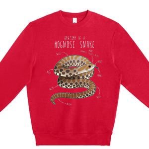 Anatomy Of A Hognose Snake Funny Pet Reptile Animal Lover Premium Crewneck Sweatshirt