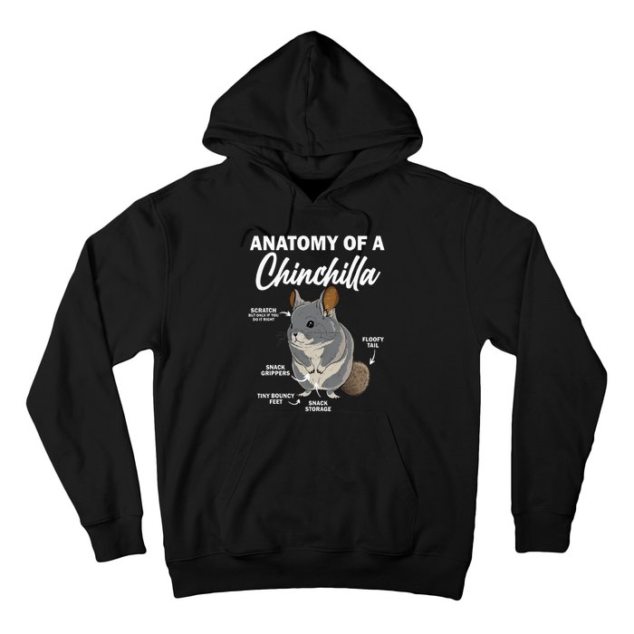 Anatomy Of A Chinchilla For Women Chinchilla Mom Funny Hoodie