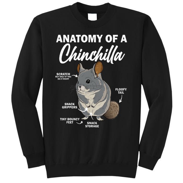 Anatomy Of A Chinchilla For Women Chinchilla Mom Funny Sweatshirt