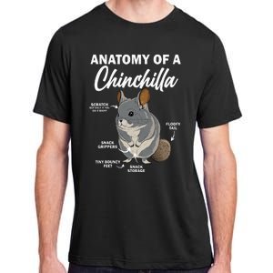 Anatomy Of A Chinchilla For Women Chinchilla Mom Funny Adult ChromaSoft Performance T-Shirt