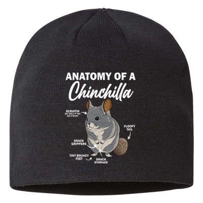 Anatomy Of A Chinchilla For Women Chinchilla Mom Funny Sustainable Beanie