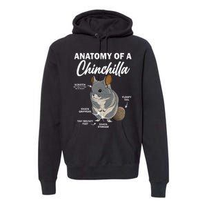 Anatomy Of A Chinchilla For Women Chinchilla Mom Funny Premium Hoodie