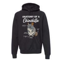 Anatomy Of A Chinchilla For Women Chinchilla Mom Funny Premium Hoodie